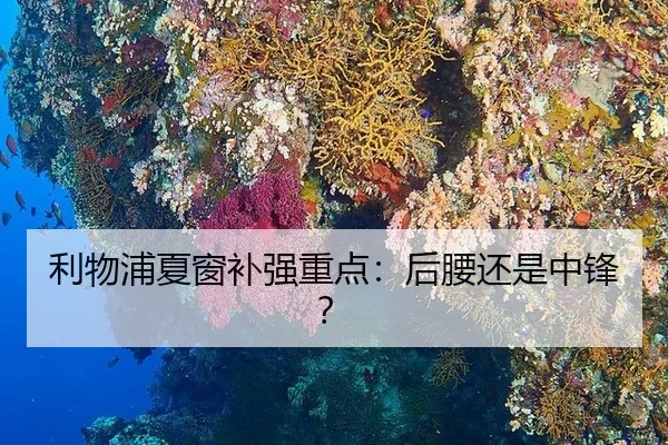 利物浦夏窗补强重点：后腰还是中锋？